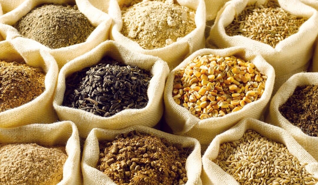 feed for livestock