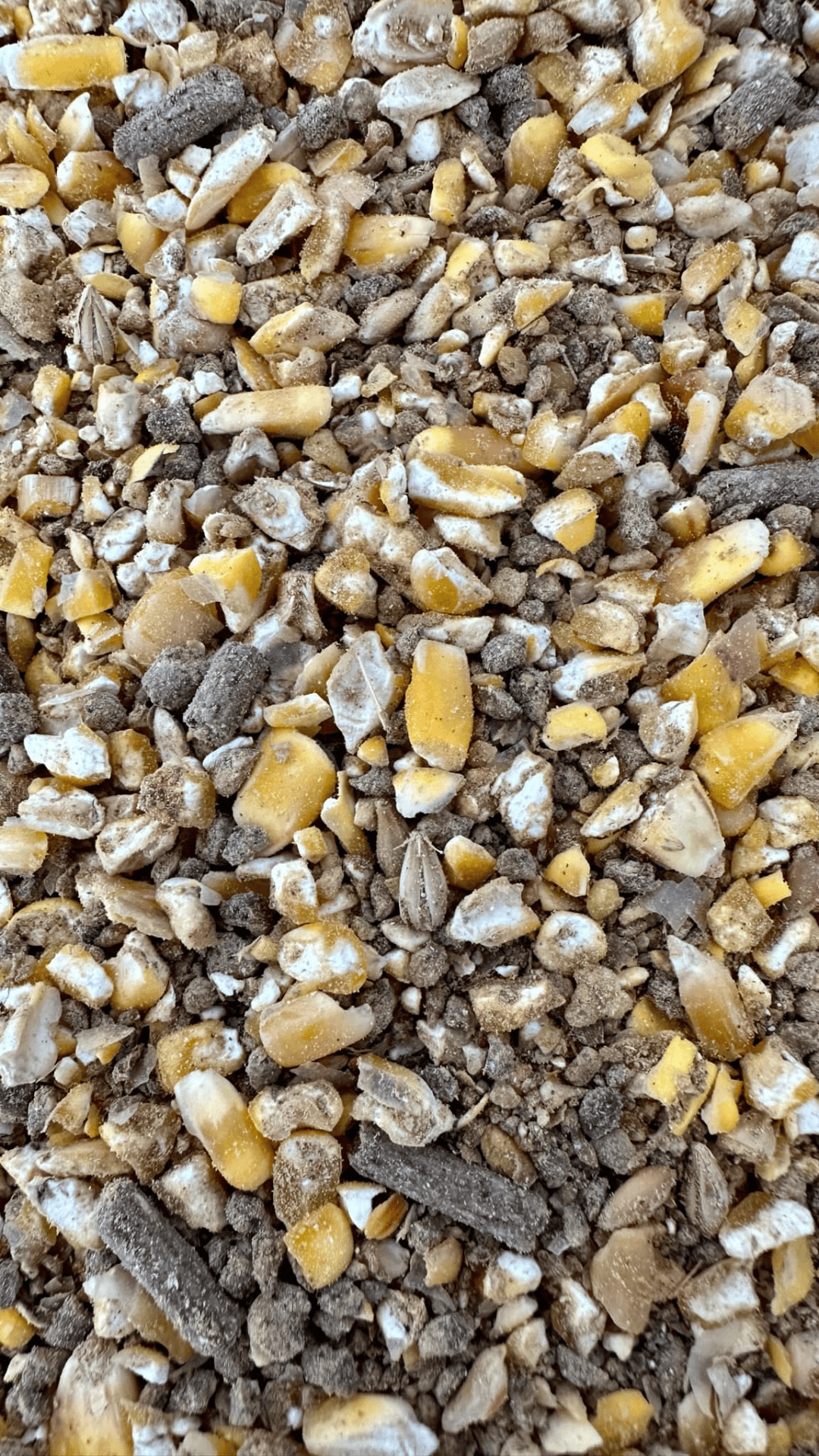 1 1 Custom Chicken Feed Feed | Mule City Specialty Feeds