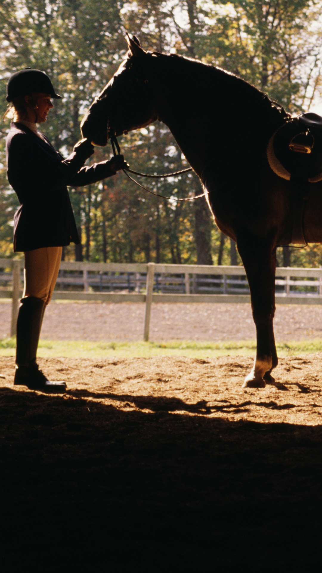 3 One Feed for the Whole Barn | Mule City Specialty Feeds