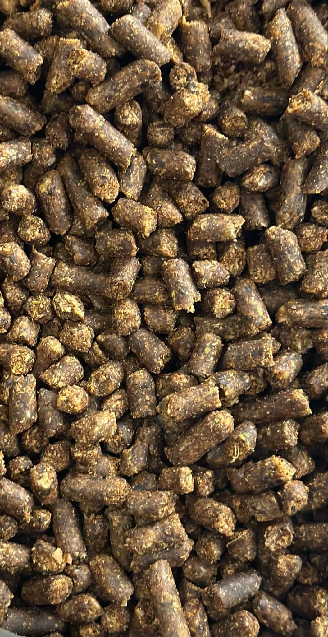 senior horse feed