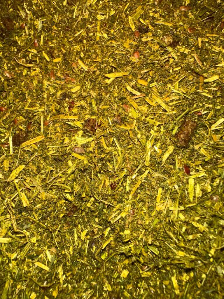 senior horse feed