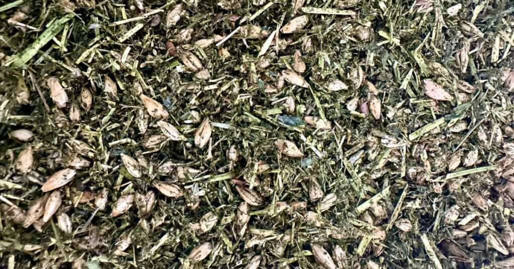 high fat horse feed
