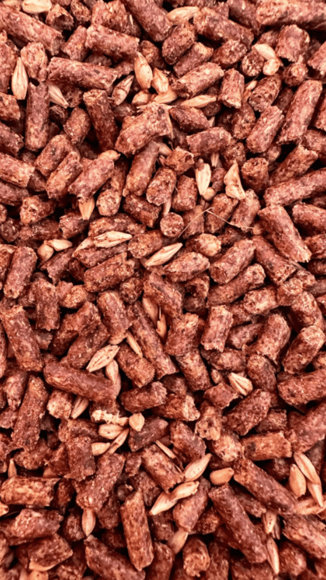 1 Added Mineral Horse Feed | Mule City Specialty Feeds