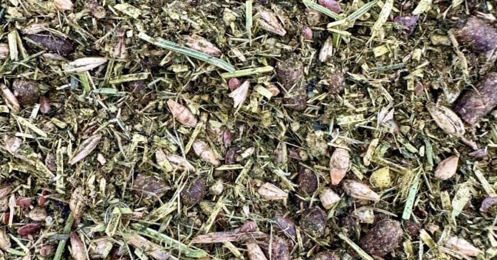 how much grain to feed a horse per day