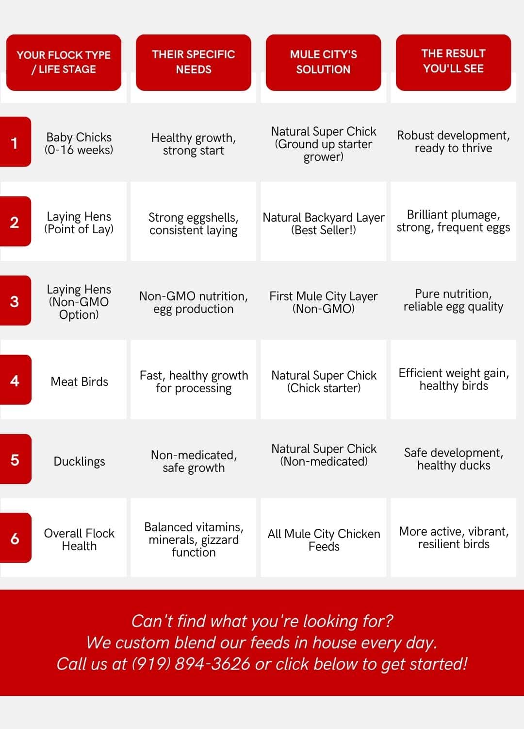 Mule Infographics Chicken Ad Mobile Custom Chicken Feed Feed | Mule City Specialty Feeds