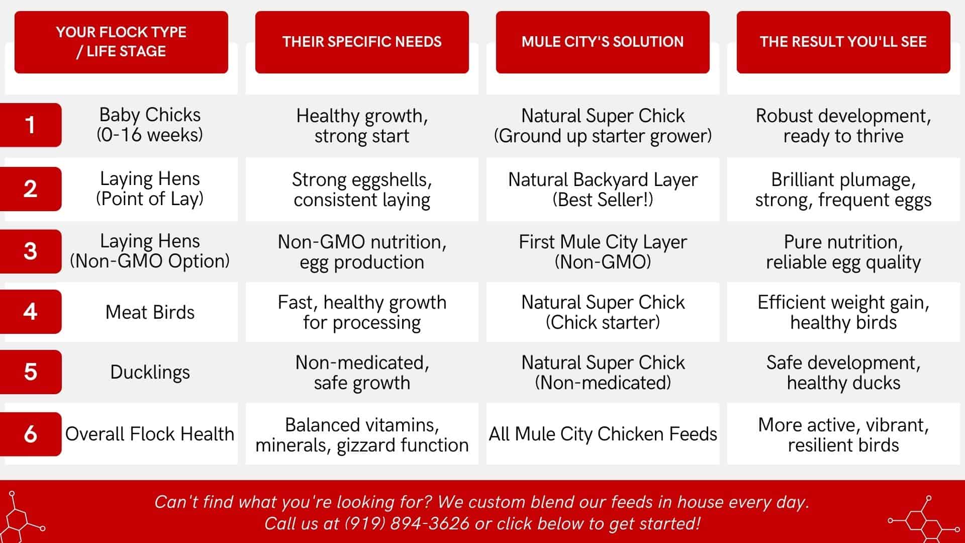 Mule Infographics Chicken Ad Custom Chicken Feed Feed | Mule City Specialty Feeds
