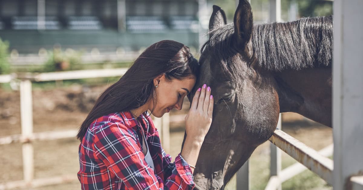 Low Starch Horse Feed