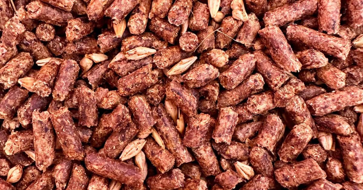 Low Starch Horse Feed