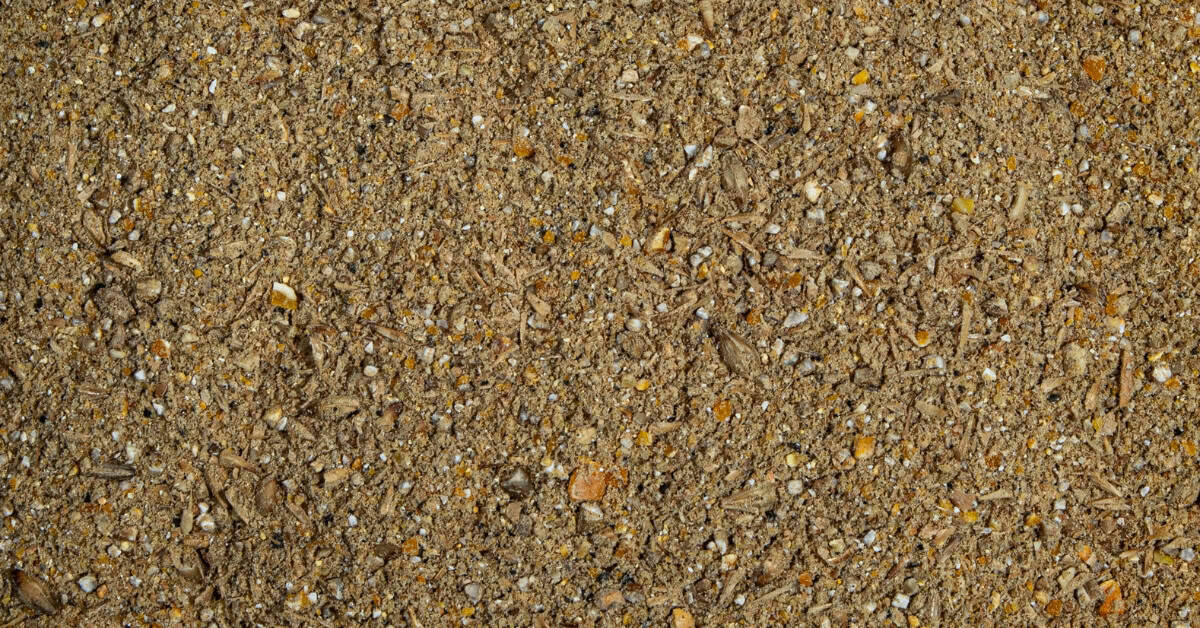 best chicken feed for laying hens