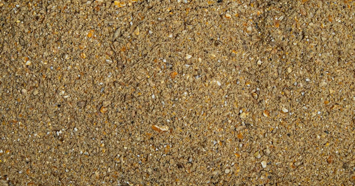 non gmo chicken feed