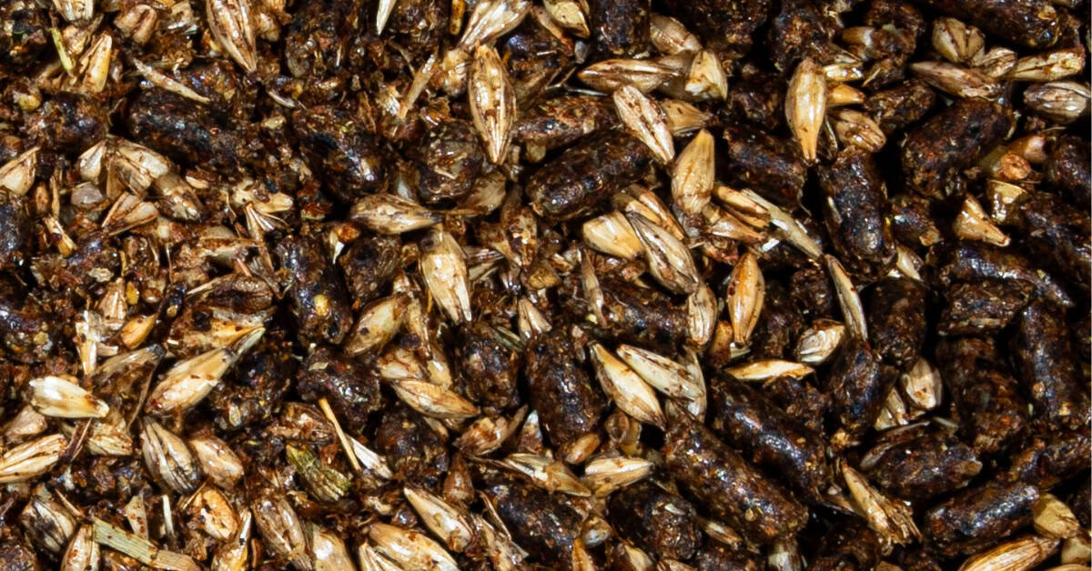 ionophore free horse feed
