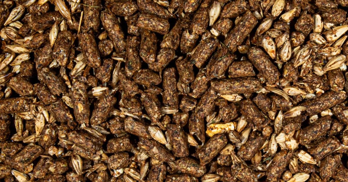 ionophore free horse feed