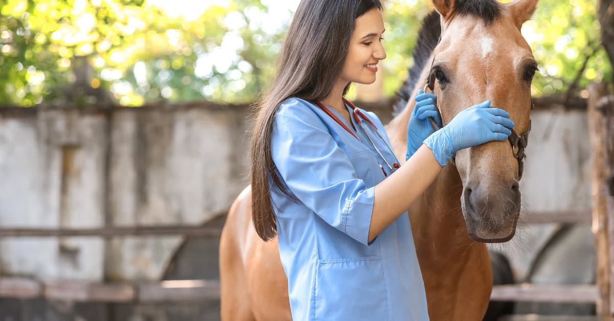ionophore free horse feed